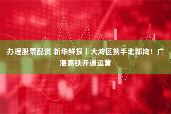 办理股票配资 新华鲜报｜大湾区携手北部湾！广湛高铁开通运营