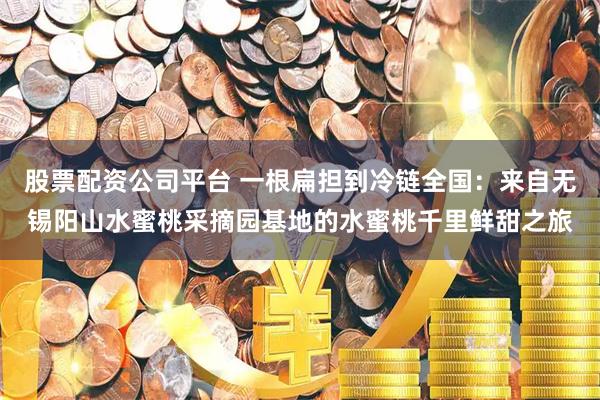 股票配资公司平台 一根扁担到冷链全国：来自无锡阳山水蜜桃采摘园基地的水蜜桃千里鲜甜之旅